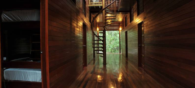 婆罗洲天然苏克毕丽特山林小屋(Borneo Natural Sukau Bilit Resort)图片