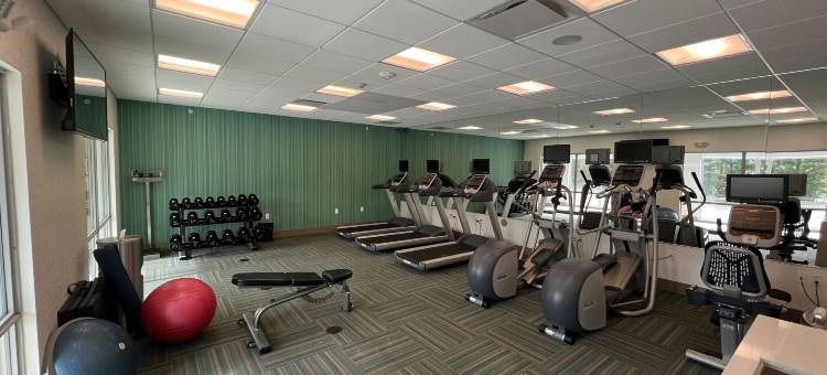 底特律西北智选假日套房酒店-利沃尼亚(Holiday Inn Express & Suites Detroit Northwest - Livonia)图片