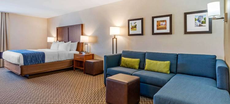 舒适套房酒店-近66号公路(Comfort Inn & Suites Near Route 66)图片