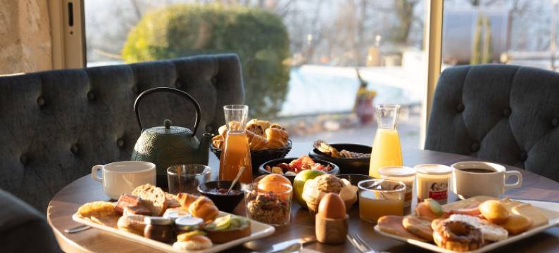 贝尔维德尔酒店(Le Belvédère Hotel et Bien être)图片