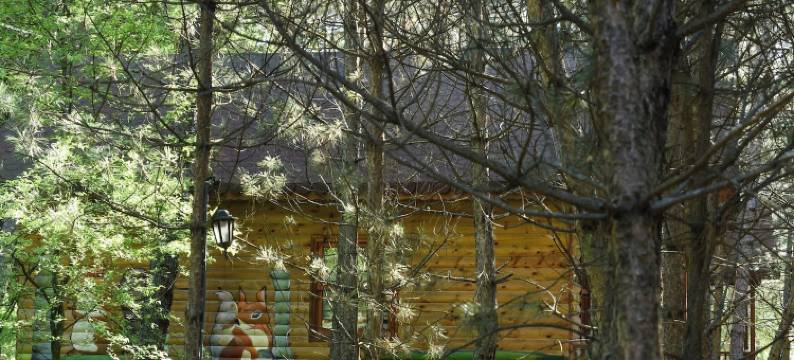 ÇAMPINARI DOĞA EVLERİ & Restaurant图片