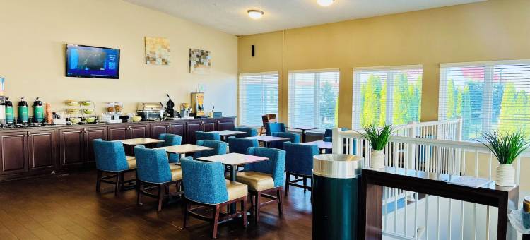 凯艺套房酒店(Quality Inn & Suites)图片