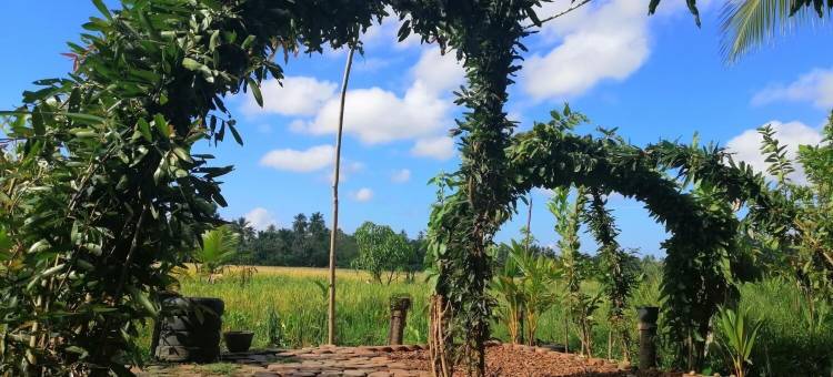 维威卡旅馆(Viveka Inn Guest and Yala Safari)图片