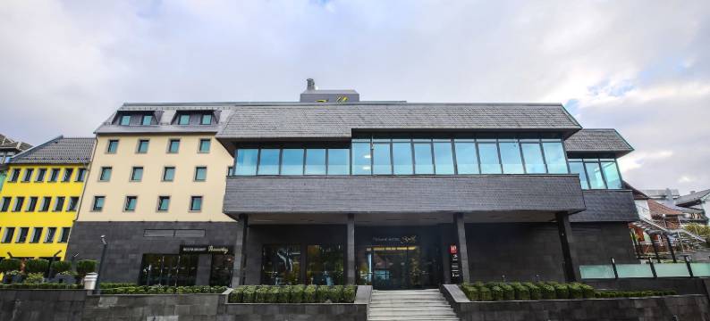 苏尔格兰德酒店(HVD Grand Hotel Suhl Business & Leisure)图片