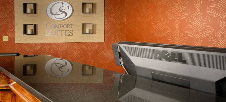 达勒斯机场舒适套房酒店(Comfort Suites Dulles Airport)图片