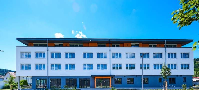 韦欣根城堡酒店(Hotel Schlossberg Wehingen)图片