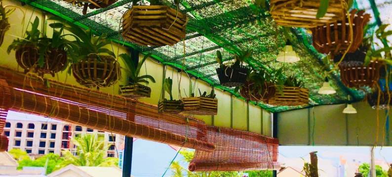 安邦大海探险家庭旅馆(An Bang Sea Adventure Homestay Hoi An)图片