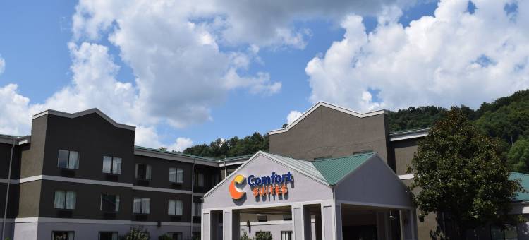 普雷斯顿斯堡西舒适套房酒店(Comfort Suites Prestonsburg West)图片