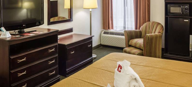 伊克诺旅馆棕榈海岸中心(Econo Lodge)图片