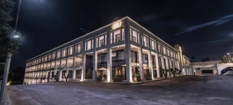 多米尼姆宫殿(Dominium Palace)图片