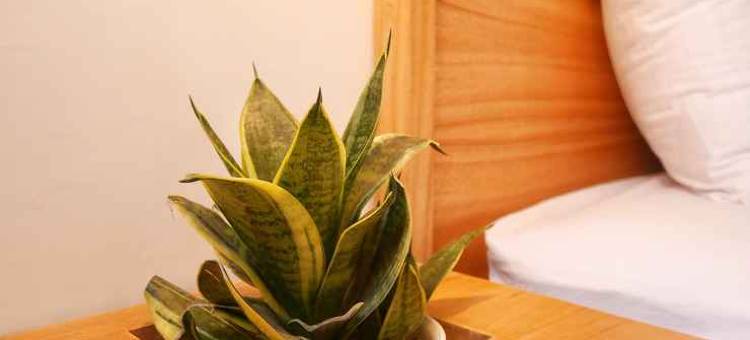 Betah Homestay Banyuwangi图片