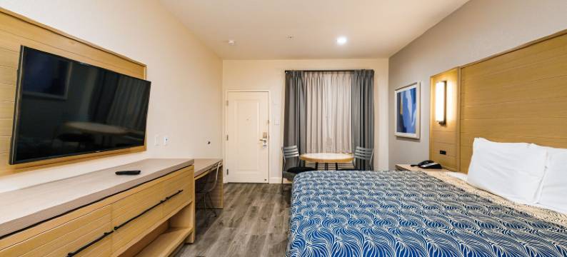 蓝宫酒店东IAH(Palace Inn Blue IAH East)图片