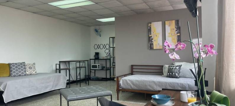 圣何塞市中心套房(San Jose Downtown Suites)图片