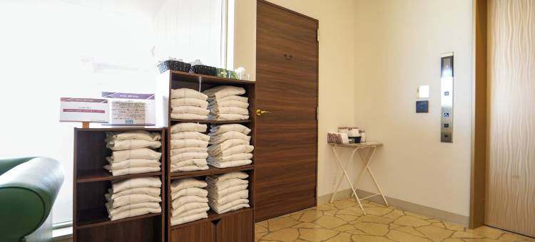 新盖亚西熊本站前酒店(Hotel New Gaea Nishi Kumamoto Ekimae)图片