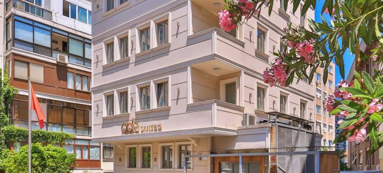 阿达尼桑塔斯套房酒店(Ada Suites Nisantasi)图片