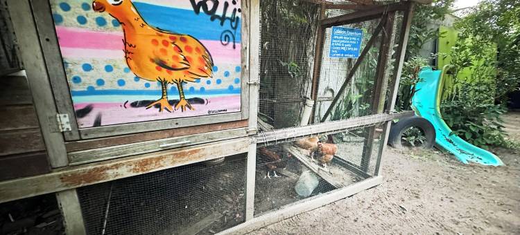 康特内尔庭院(Quintal do Contêiner em Manguinhos)图片