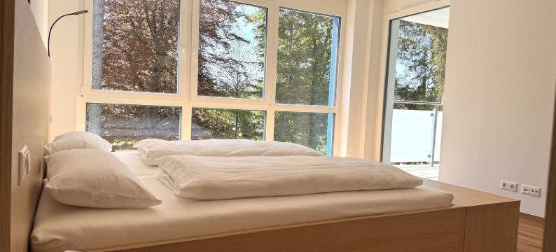 SONNENHOF 公寓(Sonnenhof Apartments)图片