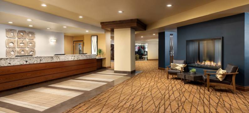 艾勒维申温泉酒店(Elevation Hotel & Spa)图片