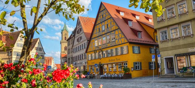 HOTEL & SPA 金玫瑰(Hotel & Spa Goldene Rose)图片