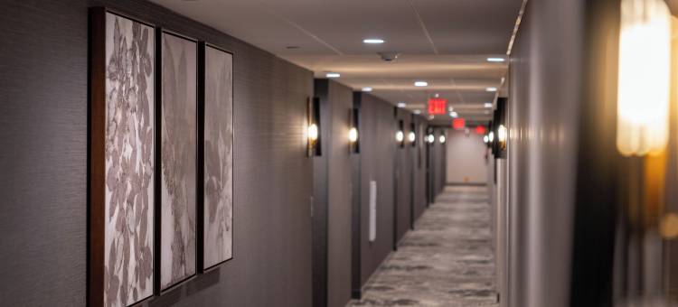 SpringHill Suites By Marriott San Luis Obispo图片