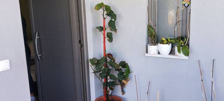 雷西姆农郊区复式公寓(Rethymno Suburb Maisonette)图片