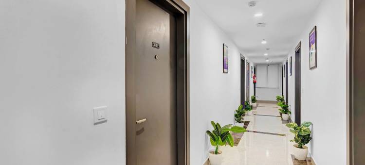 Treebo Hydotel Kompally图片