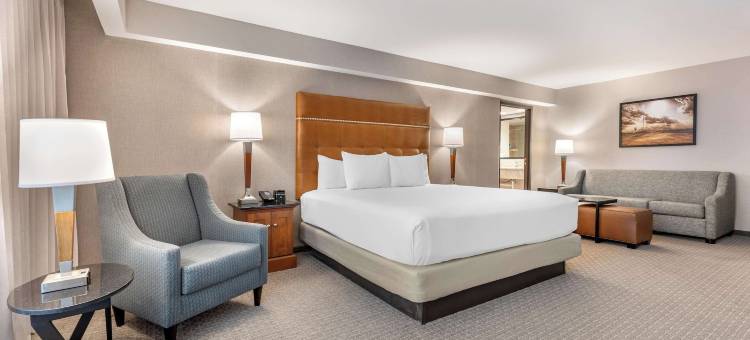 尚佩恩德鲁里套房酒店(Drury Inn & Suites Champaign)图片