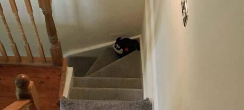 12 号波浪鼓酒店(12 Rattle Row)图片