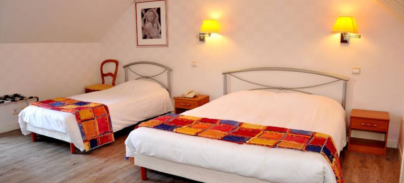 罗吉斯堡岸酒店(Logis Hotel Beau Rivage)图片