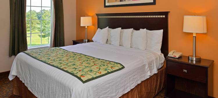 乐红磨坊杜兰迪恩酒店(Le Moulin du Landion Hotel et Spa)图片