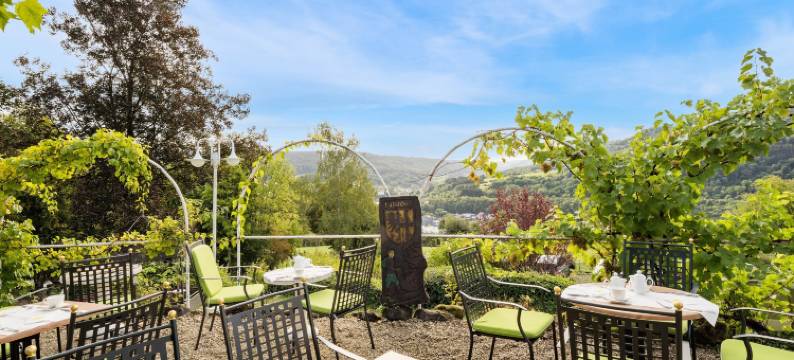 索娜伯格瓦尔德酒店(Waldhotel Sonnenberg)图片