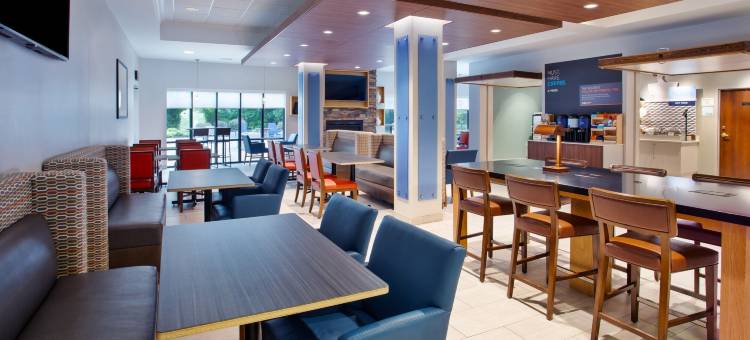 智选假日套房酒店罗切斯特韦伯斯特(Holiday Inn Express & Suites Rochester Webster)图片