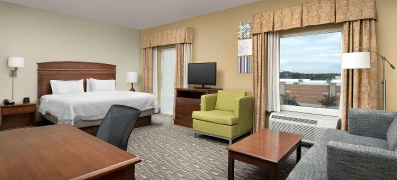 希尔顿欢朋套房酒店-南莱克兰德波尔克干道(Hampton Inn & Suites Lakeland-South Polk Parkway)图片
