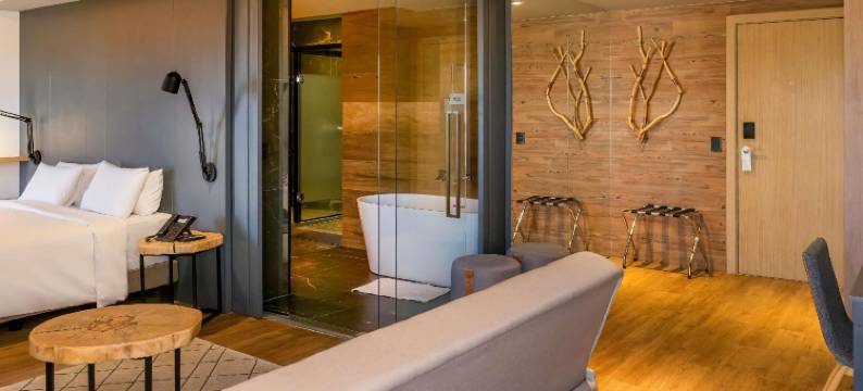 克里西玛诺富特酒店(Novotel Criciuma)图片