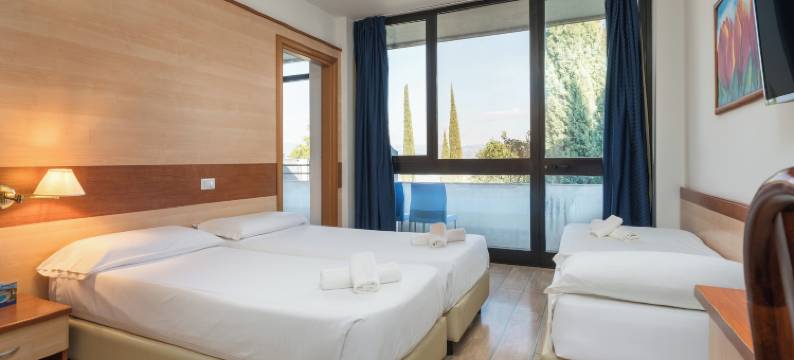 佳迪萨诺中央旅游酒店(Hotel Centro Turistico Gardesano)图片