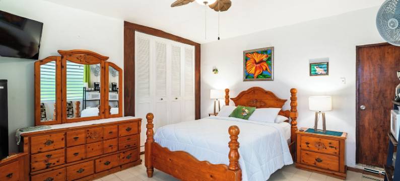 椰子棕榈树旅馆(Coconut Palms Inn)图片