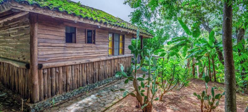 埃尔萨巴内罗生态旅馆(El Sabanero Eco Lodge)图片