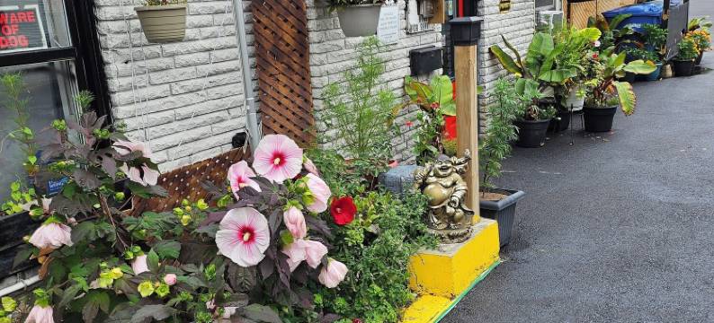 克雷斯特伍德汽车旅馆(Crestwood Motel)图片