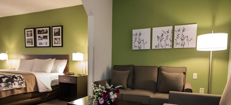 劳德代尔堡国际机场舒眠套房酒店(Sleep Inn & Suites Ft Lauderdale International Airport)图片