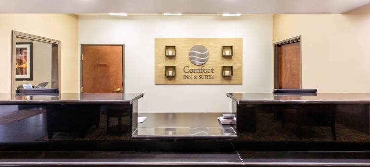 IAH布什机场-东舒适套房酒店(Comfort Inn & Suites IAH Bush Airport - East)图片