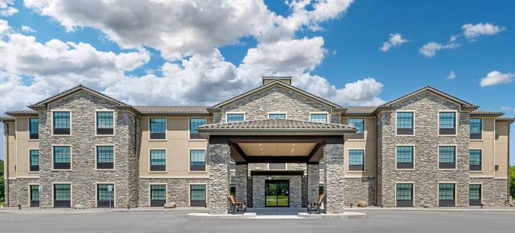 舒适酒店及套房梅迪纳纽约靠近伊利运河(Comfort Inn & Suites Medina NY Near Erie Canal)图片