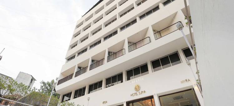 苏里亚酒店(Palette Hotel Surya by CheckIn, Vadodara)图片