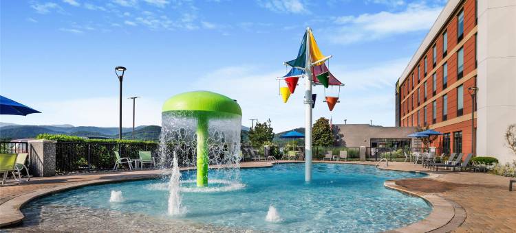 鸽子谷希尔顿惠庭酒店(Home2 Suites by Hilton Pigeon Forge)图片