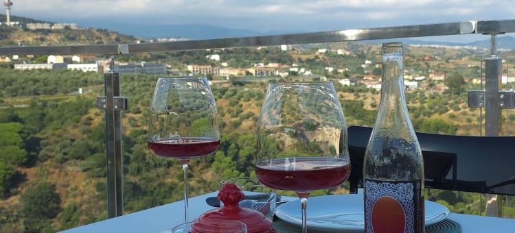 卡坦扎罗阿尔塔维拉酒店(Hotel Altavilla Catanzaro)图片