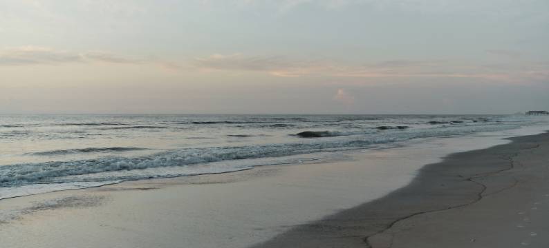 大西洋棕榈酒店(Ambros Daytona)图片