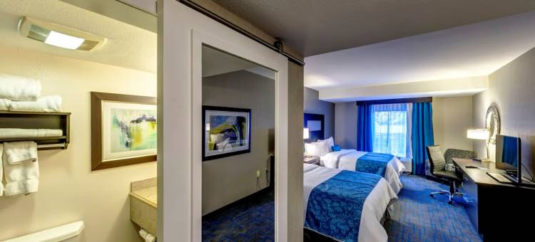 锡拉丘兹机场假日套房酒店(Holiday Inn & Suites SYRACUSE AIRPORT - LIVERPOOL by IHG)图片