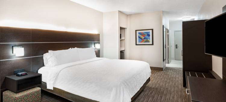 阿尔伯克基 - 北气球嘉年华公园智选假日酒店及套房(Holiday Inn Express & Suites Albuquerque-N. Balloon Fsta PK)图片