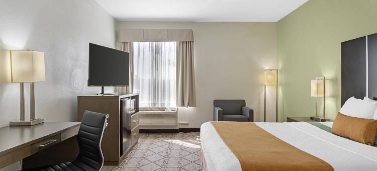 北休斯顿贝斯特韦斯特优质套房酒店(Best Western Plus North Houston Inn  Suites)图片