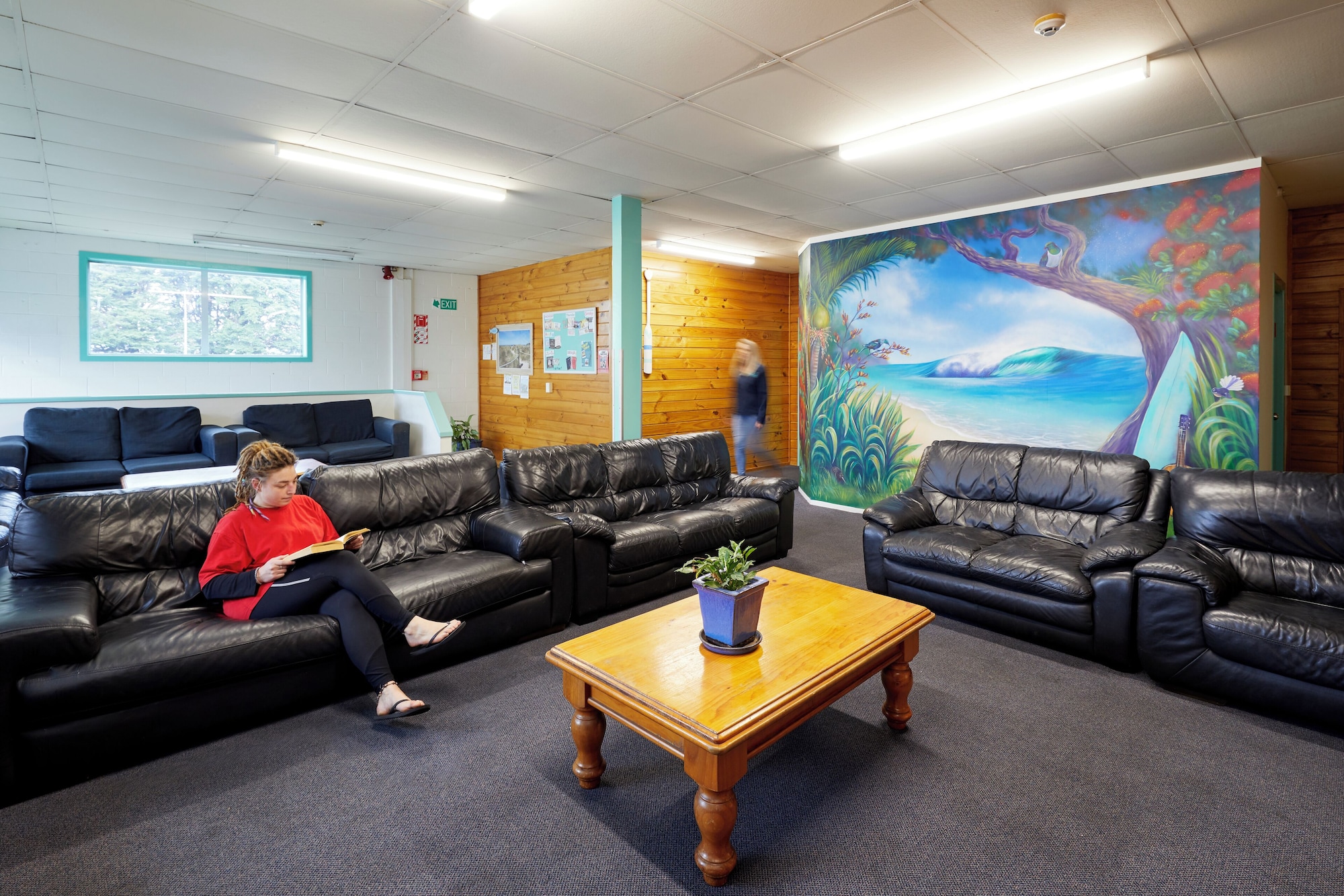 Pacific Coast Lodge and Backpackers Over view