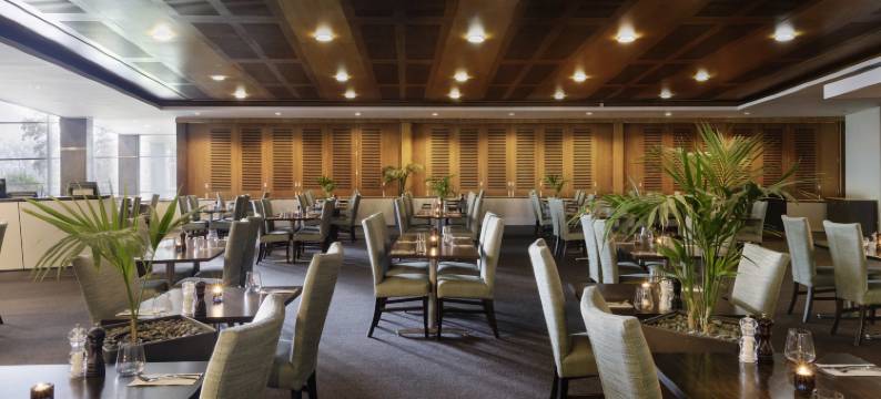 奥克兰艾勒斯利诺富特酒店(Novotel Auckland Ellerslie)图片